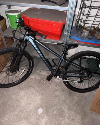 Bicicletta Specialized