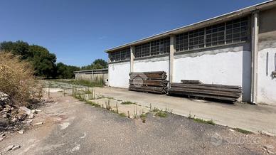 CAPANNONE A MONTEBELLO DELLA BATTAGLIA