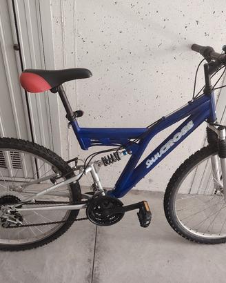 bicicletta mountain bike