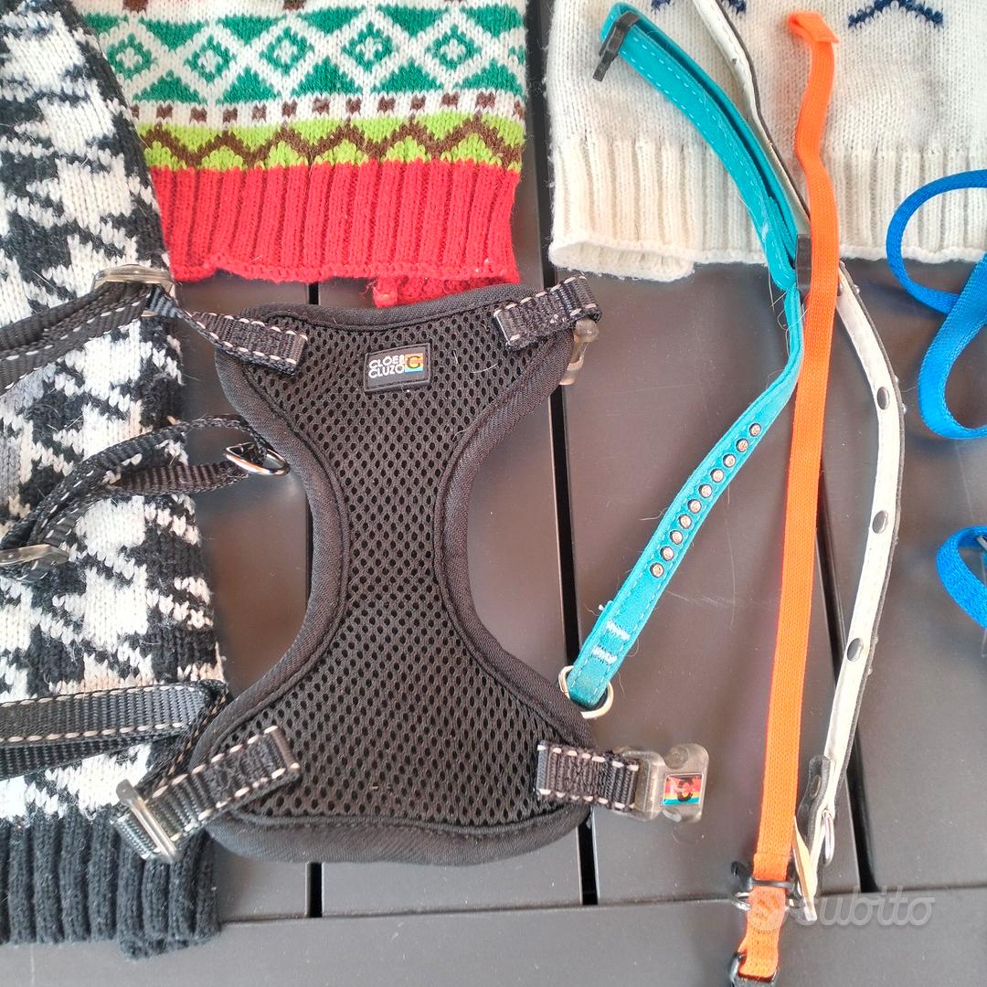 vestitini collari e imbragature per cane