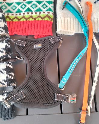vestitini collari e imbragature per cane 