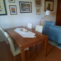 sedie Calligaris in ciliegio  nuvola 