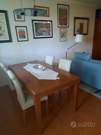 sedie Calligaris in ciliegio  nuvola 