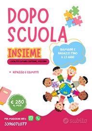 Dopo Scuola Insieme
