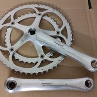 CAMPAGNOLO VELOCE - Guarnitura 53/39t