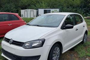 Polo 1.6