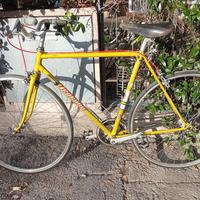 legnano 