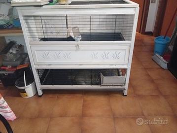 Gabbia in legno per coniglio nano