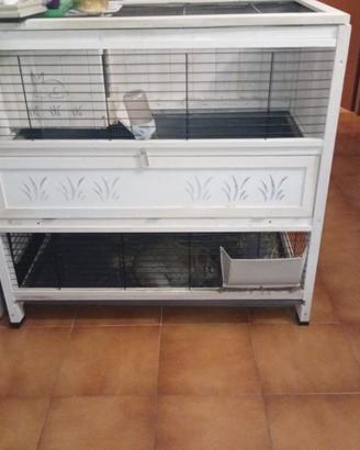 Gabbia in legno per coniglio nano