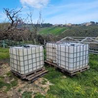 cisterne  1000 litri