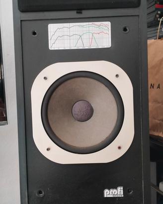 DIFFUSORI PROFI TRANSONIC