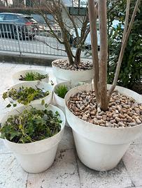 Vasche per piante da esterno