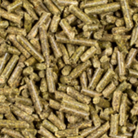 Mangime completo per coniglio nano