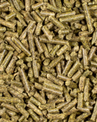 Mangime completo per coniglio nano