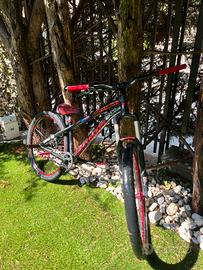 bichi da dirt/wheelie bike