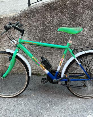 Bicicletta da donna  / Mountain Bike