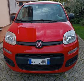 Fiat Panda 1.2 benzina rossa
