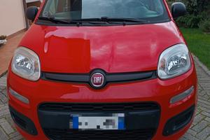 Fiat Panda 1.2 benzina rossa