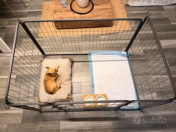 Kennel