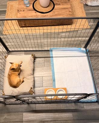 Kennel