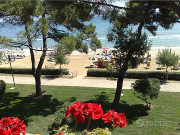 Pineto Abruzzo