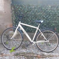 bicicletta kosmos