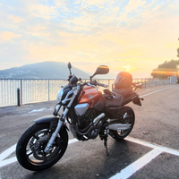 Yamaha mt 03-660
