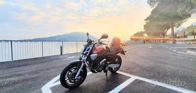Yamaha mt 03-660