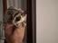 Immagine 4