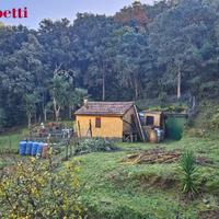 Magazzino Monte Argentario [452VCG] (Porto Santo S