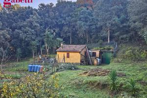 Magazzino Monte Argentario [452VCG] (Porto Santo S