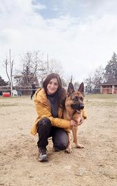 dog e pet sitter