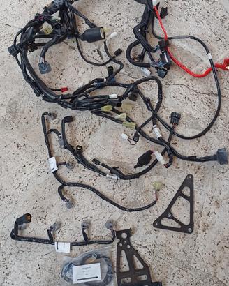 impianto elettrico racing yec (GYTR)