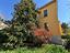 Immagine 14