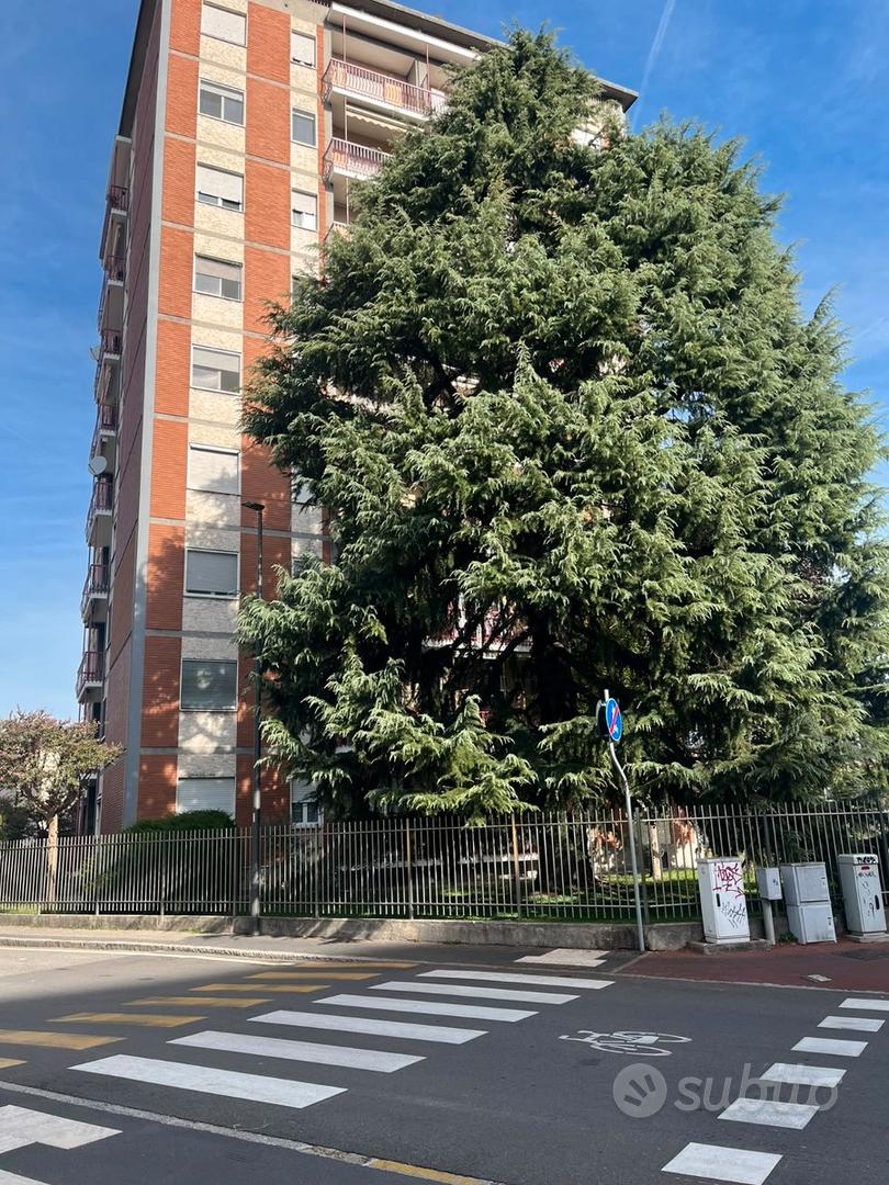 Appartamento – Cologno Monzese, San Giuliano Monzese - Vista 2
