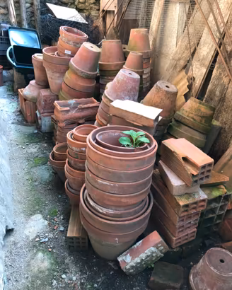 Vasi in terracotta
