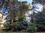 Immagine 20