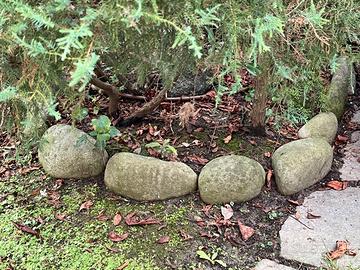 Sassi per bordura aiuole