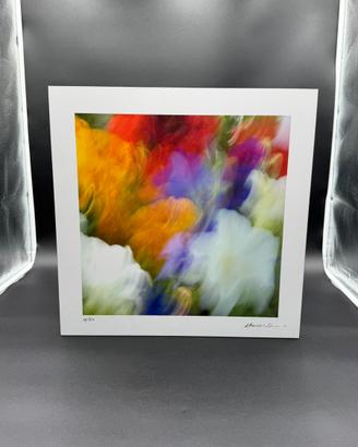 Stampa artistica moderna con composizione floreale