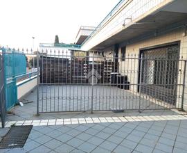 NEGOZIO A CIAMPINO