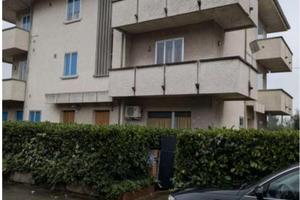 RGE 101/2025 Trib Pesaro