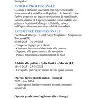 Operaio/adetto alle pulizie/lavapiatti/fachhino