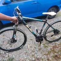Bici elettrica 