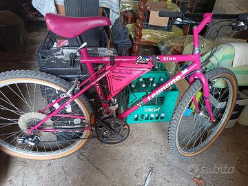 Mountain bike 