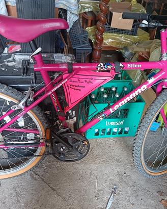 Mountain bike 