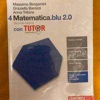 Matematica blu 2.0 4