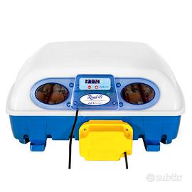 Borotto Real 49 Automatica - Incubatrice Professio