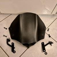 Cupolino Triumph Speed Triple 