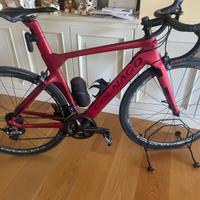 bicicletta Colnago
