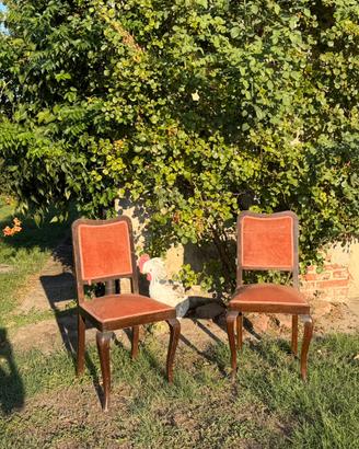 Coppia di sedie antiche/vintage in legno e velluto